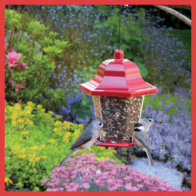 Sunflower seeds in Birder Blend highlight premium ingredients for birds.
