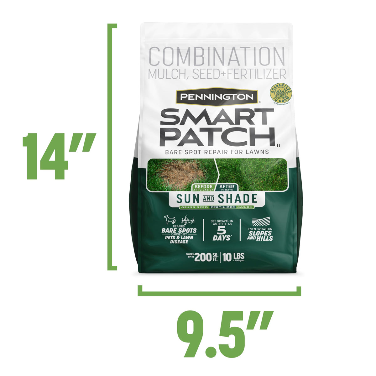 Pennington Smart Patch seed mix includes American rye, perennial rye, Kentucky bluegrass.
