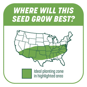 Pennington Smart Patch balanced fertilizer for quick establishment.
