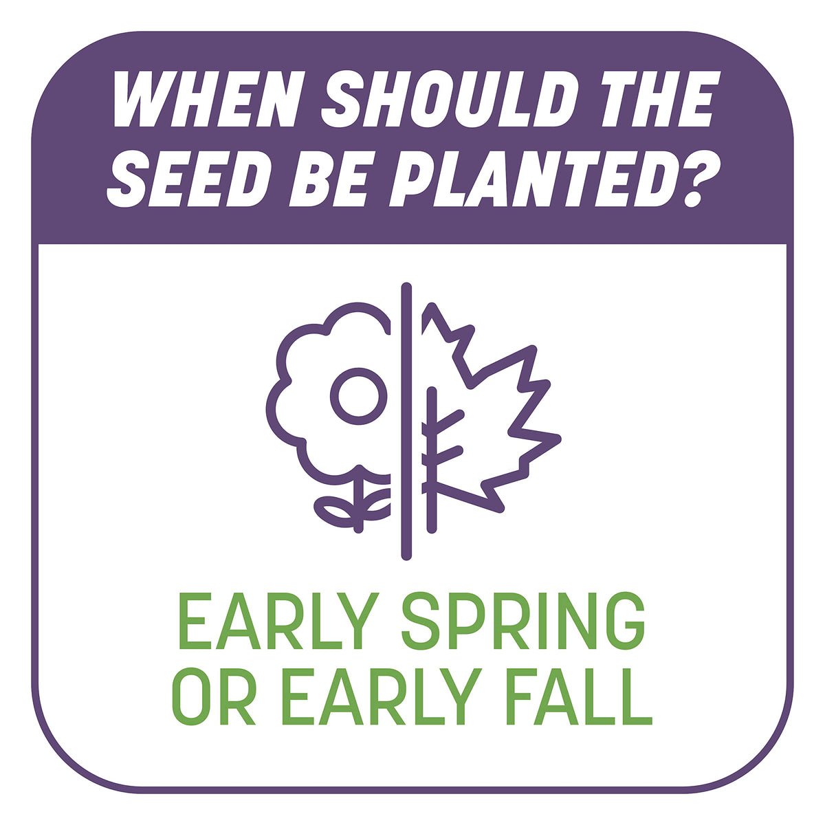 Pennington Smart Patch Dense Shade balanced fertilizer promotes quick establishment.