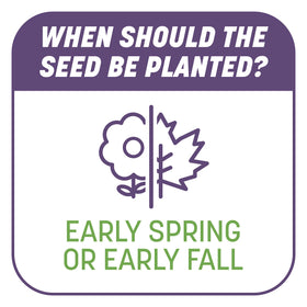 Pennington Smart Patch Dense Shade balanced fertilizer promotes quick establishment.