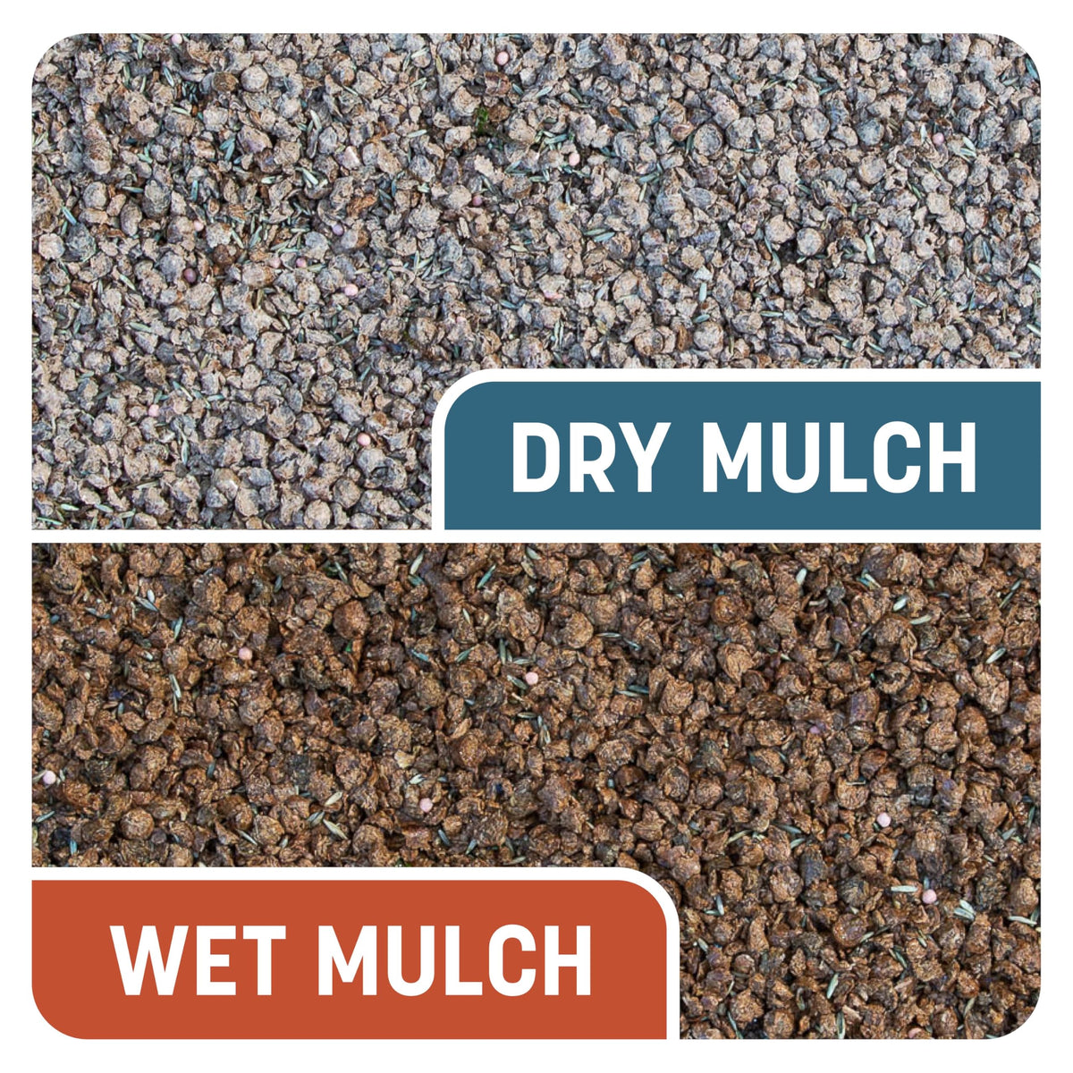 Pennington Smart Patch drought-tolerant bermudagrass for sunny yards.
