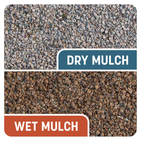 Pennington Smart Patch drought-tolerant bermudagrass for sunny yards.