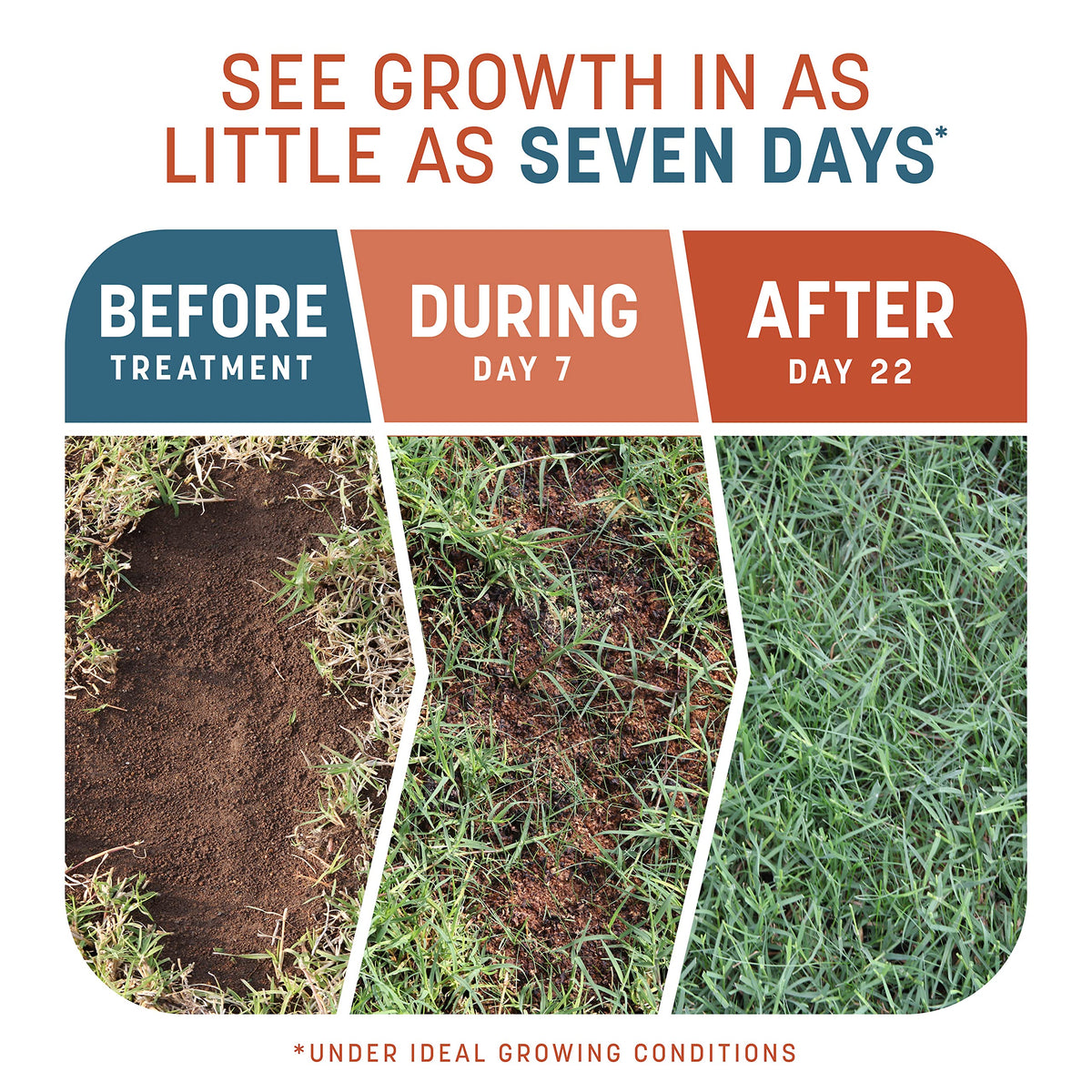 Pennington Smart Patch mulch color-change area indicates when it's time to water.