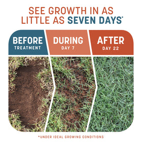 Pennington Smart Patch mulch color-change area indicates when it's time to water.