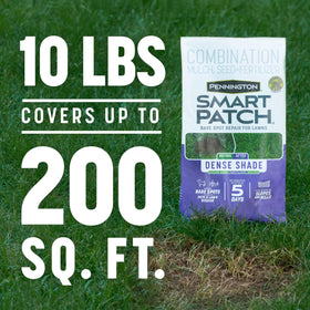 Pennington Smart Patch Dense Shade mulch layer protects seed from washout.