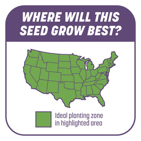 Pennington Smart Patch Dense Shade mulch color change signals when to water.