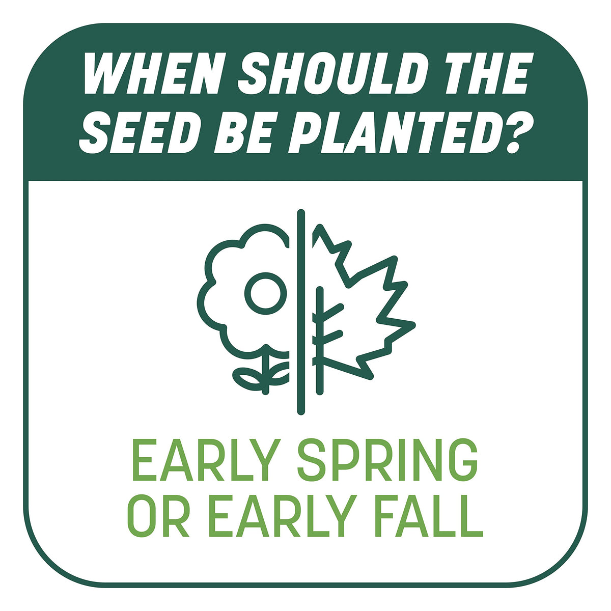 Pennington Smart Patch progress showing seed coverage across a repair area.