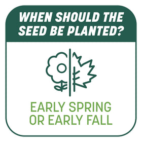 Pennington Smart Patch progress showing seed coverage across a repair area.