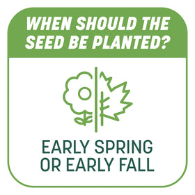 Pennington Smart Patch easy bare-spot seeding with included mulch.
