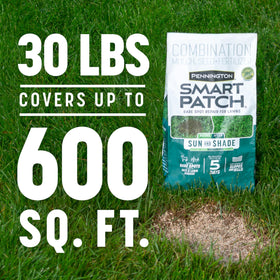 Pennington Smart Patch mulch layer protects seeds and signals watering needs