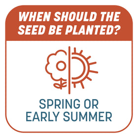 Pennington Smart Patch ready-to-use lawn care for sunny yards and patches.