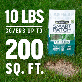 Pennington Smart Patch tackifier protects seed on slopes during rain and irrigation.