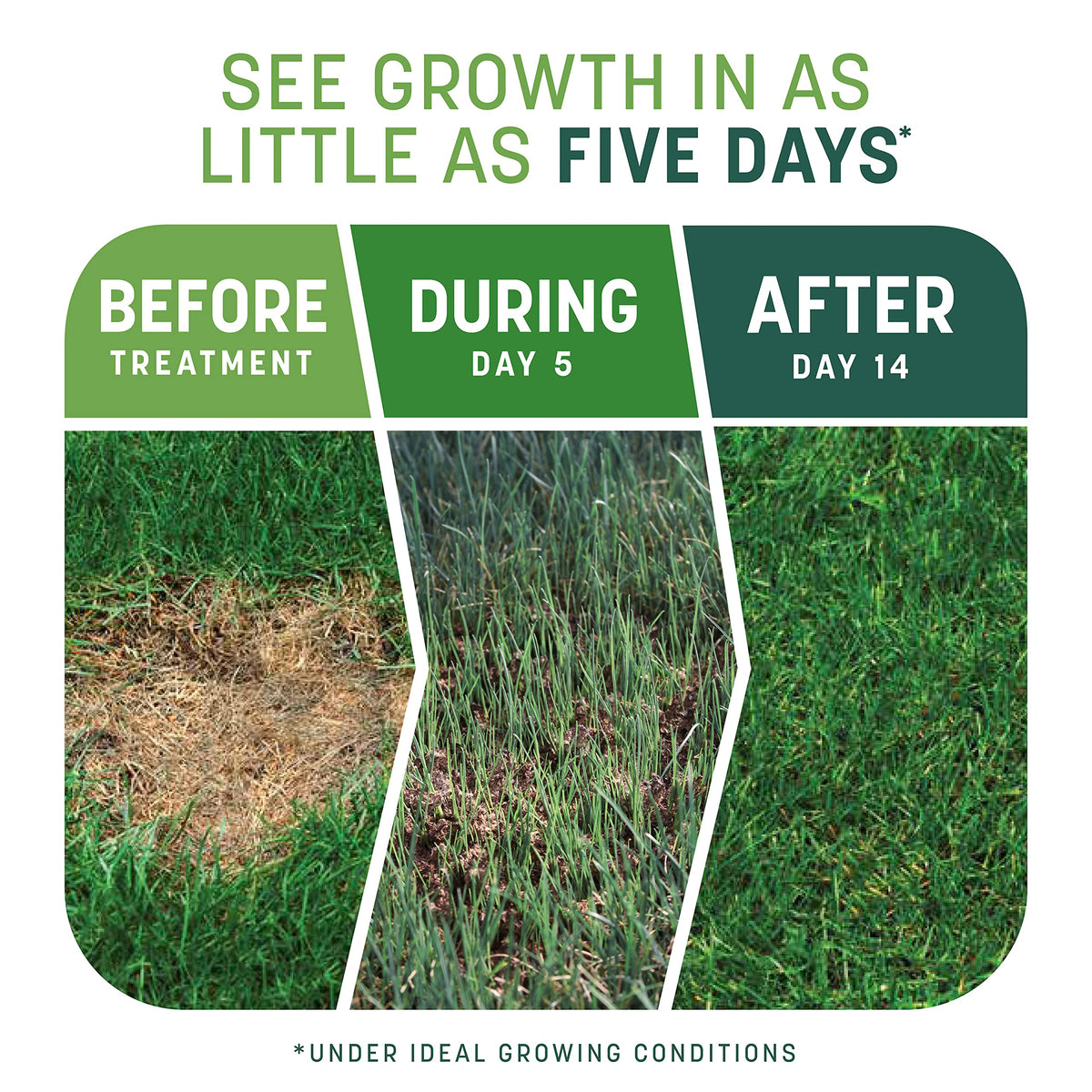 Pennington Smart Patch tall fescue with mulch for partly shaded lawns.