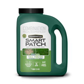 Pennington Smart Patch tall fescue seed for quick bare-spot repair.