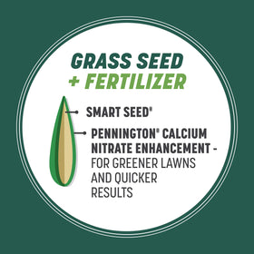 Pennington Smart Seed Sun and Shade Grass Mix offers disease resistance for durable lawns.