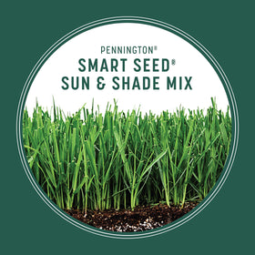 Pennington Smart Seed Sun and Shade Grass Mix features drought tolerance for tough conditions.