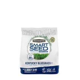Pennington Smart Seed Kentucky Bluegrass Blend bag front for easy lawn improvement.