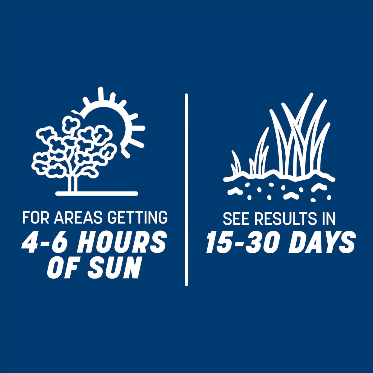 Pennington Smart Seed Kentucky Bluegrass Blend demonstrates drought-tolerant performance.