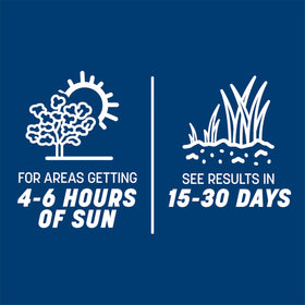 Pennington Smart Seed Kentucky Bluegrass Blend demonstrates drought-tolerant performance.