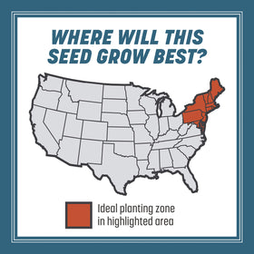 Pennington Smart Seed Northeast strong disease resistance in dense turf