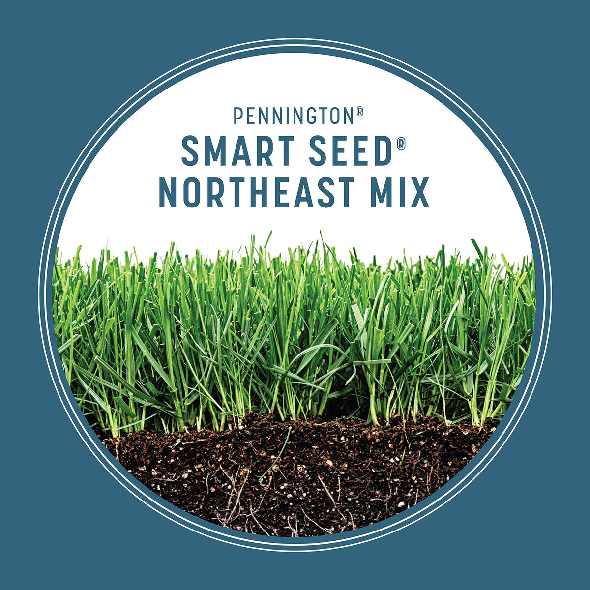 Spreading seed for overseeding to boost lawn density with Pennington Smart Seed