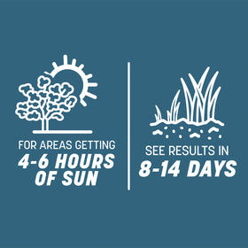 Pennington Smart Seed Northeast promotes water savings over time