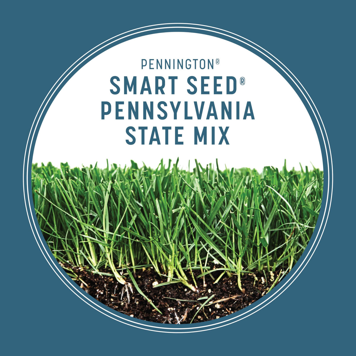 Pennington Smart Seed Pennsylvania Mix perennial ryegrass seed visible for quick green-up.