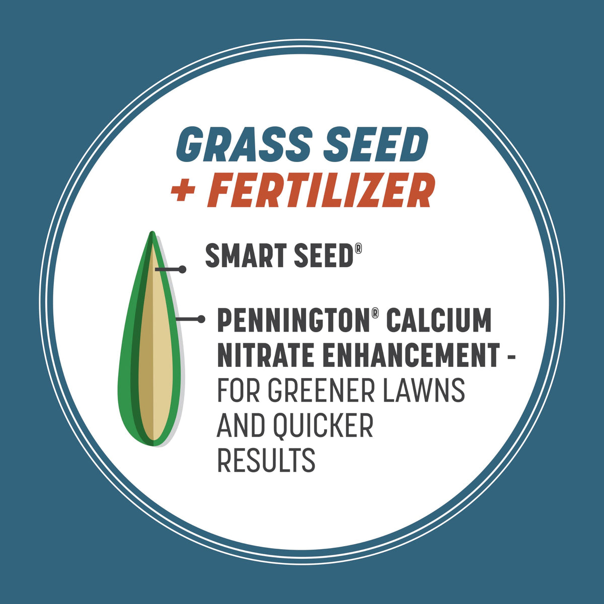 Pennington Smart Seed Pennsylvania Mix tall fescue blend seen in healthy turf.