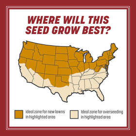 Pennington Smart Seed Perennial Ryegrass overseeding covers up to 750 sq ft