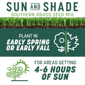 Pennington Smart Seed Sun & Shade drought tolerance in hot conditions