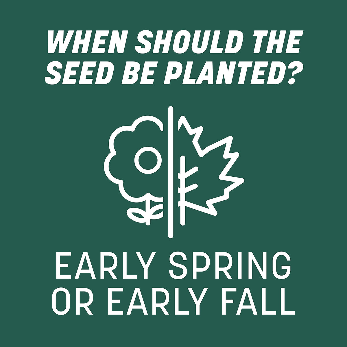 Pennington Smart Seed Sun & Shade seed coat technology aids establishment