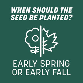Pennington Smart Seed Sun & Shade seed coat technology aids establishment