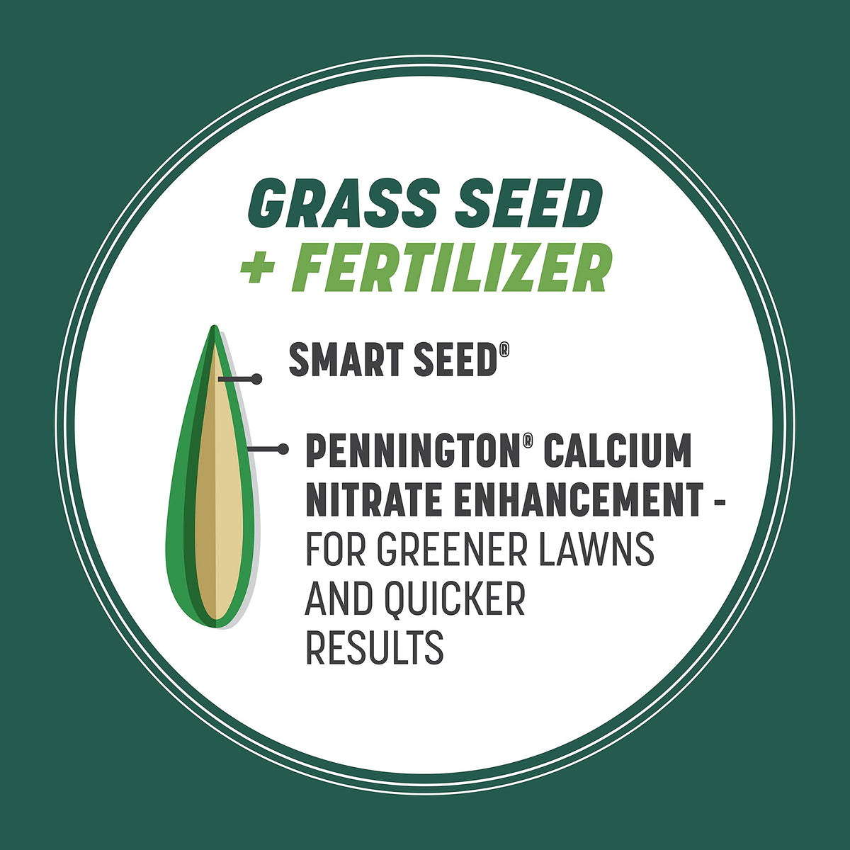 Pennington Smart Seed seed coat speeds establishment and greening