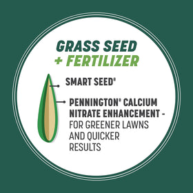Pennington Smart Seed seed coat speeds establishment and greening