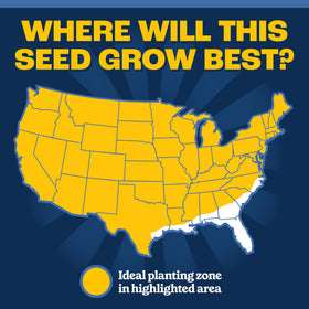 Pennington lawn setup: prep soil, spread seed, water daily.