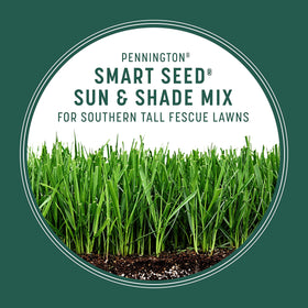 Pennington Sun and Shade overseeding coverage up to 750 sq ft