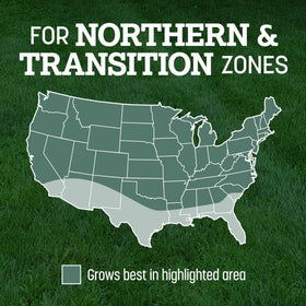 Pennington Kentucky 31 Tall Fescue turf withstands foot traffic