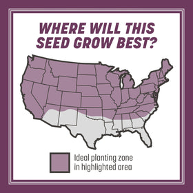 Coverage chart indicating up to 750 sq ft overseeding with Rebels seed