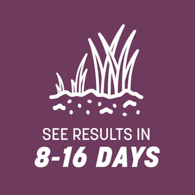 Label highlights heat and drought resistance on Pennington Rebels seed