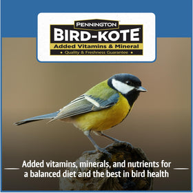 Pennington wild bird seed bucket attracts colorful birds at the feeder.