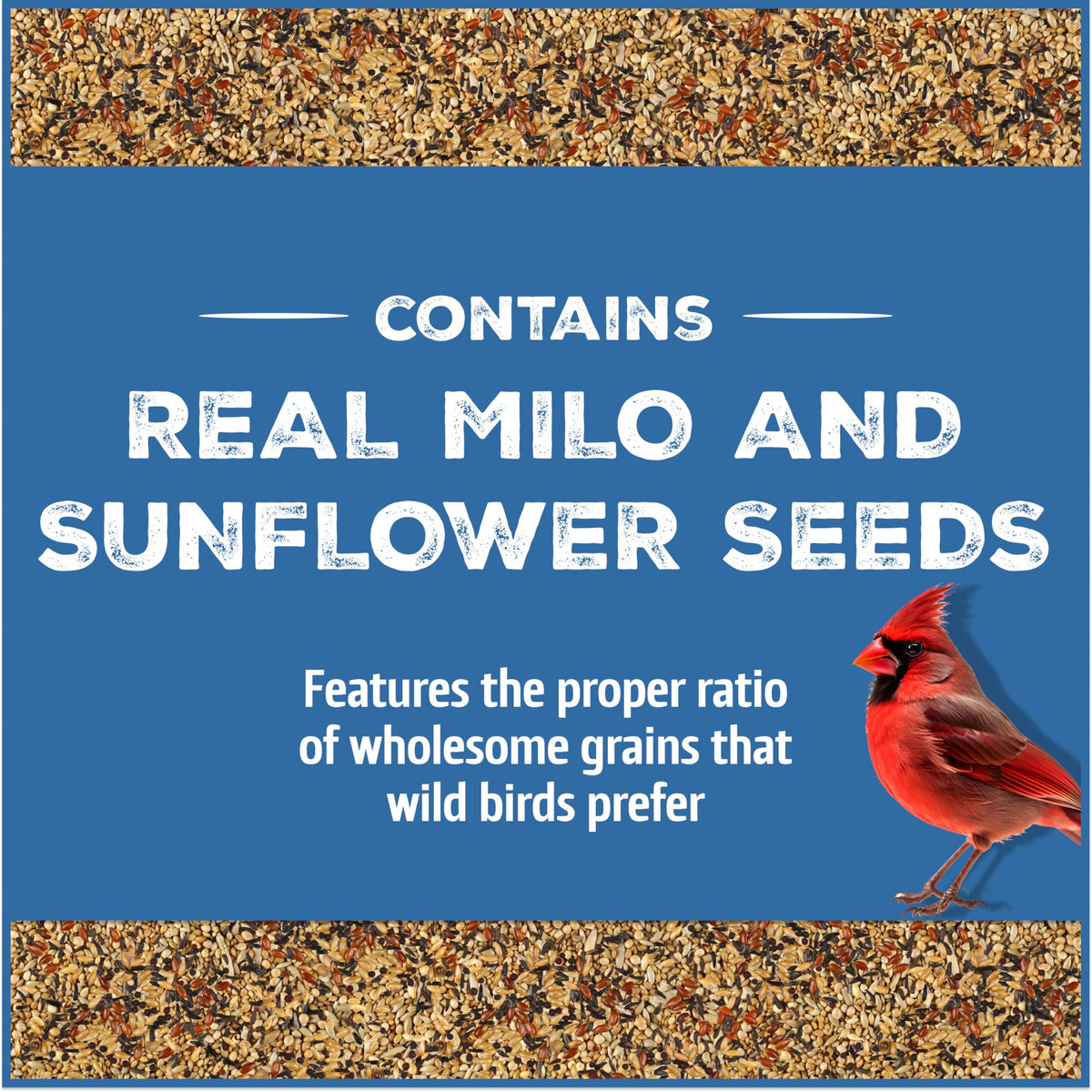 Pennington wild bird seed bucket secure lid keeps critters out during storage.