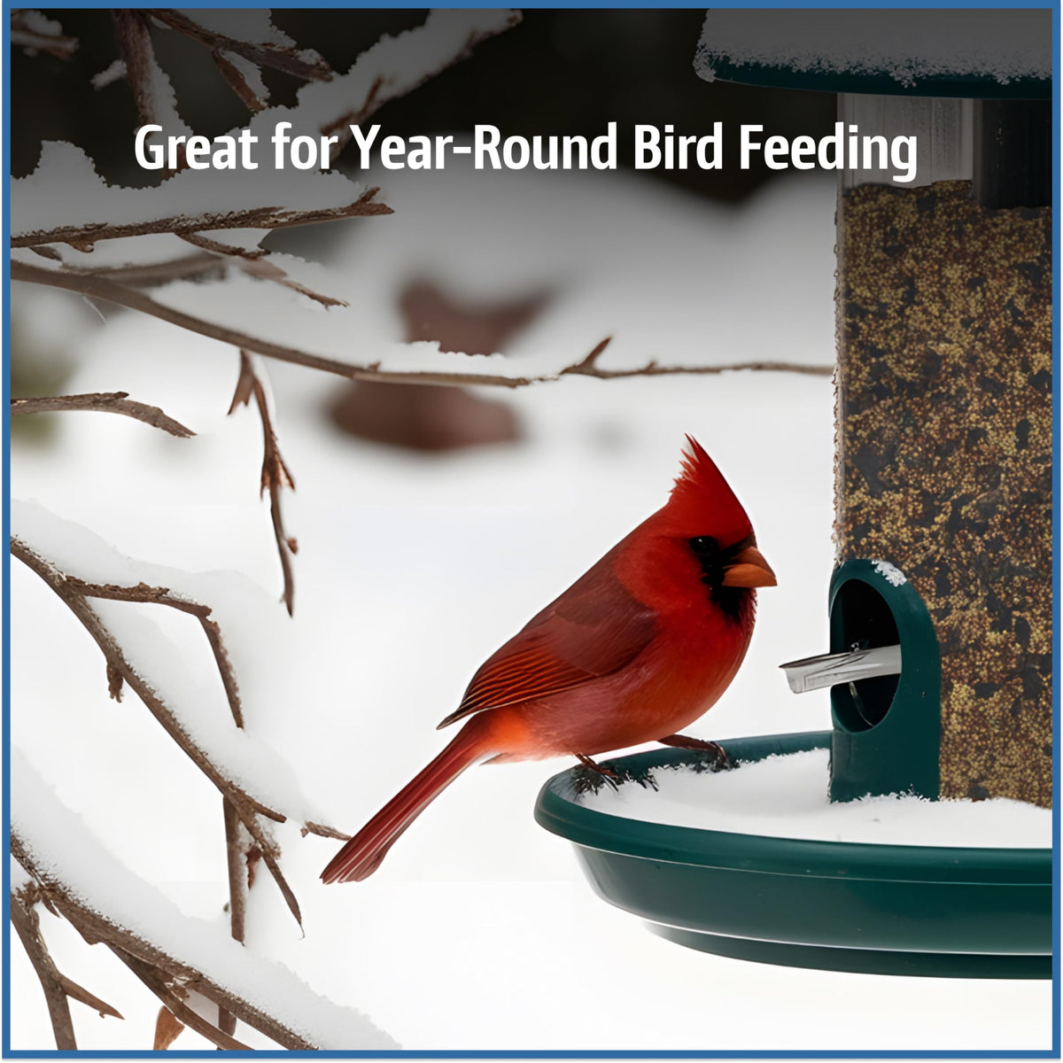 Pennington wild bird seed bucket compatibility with hopper, platform, and tube feeders.