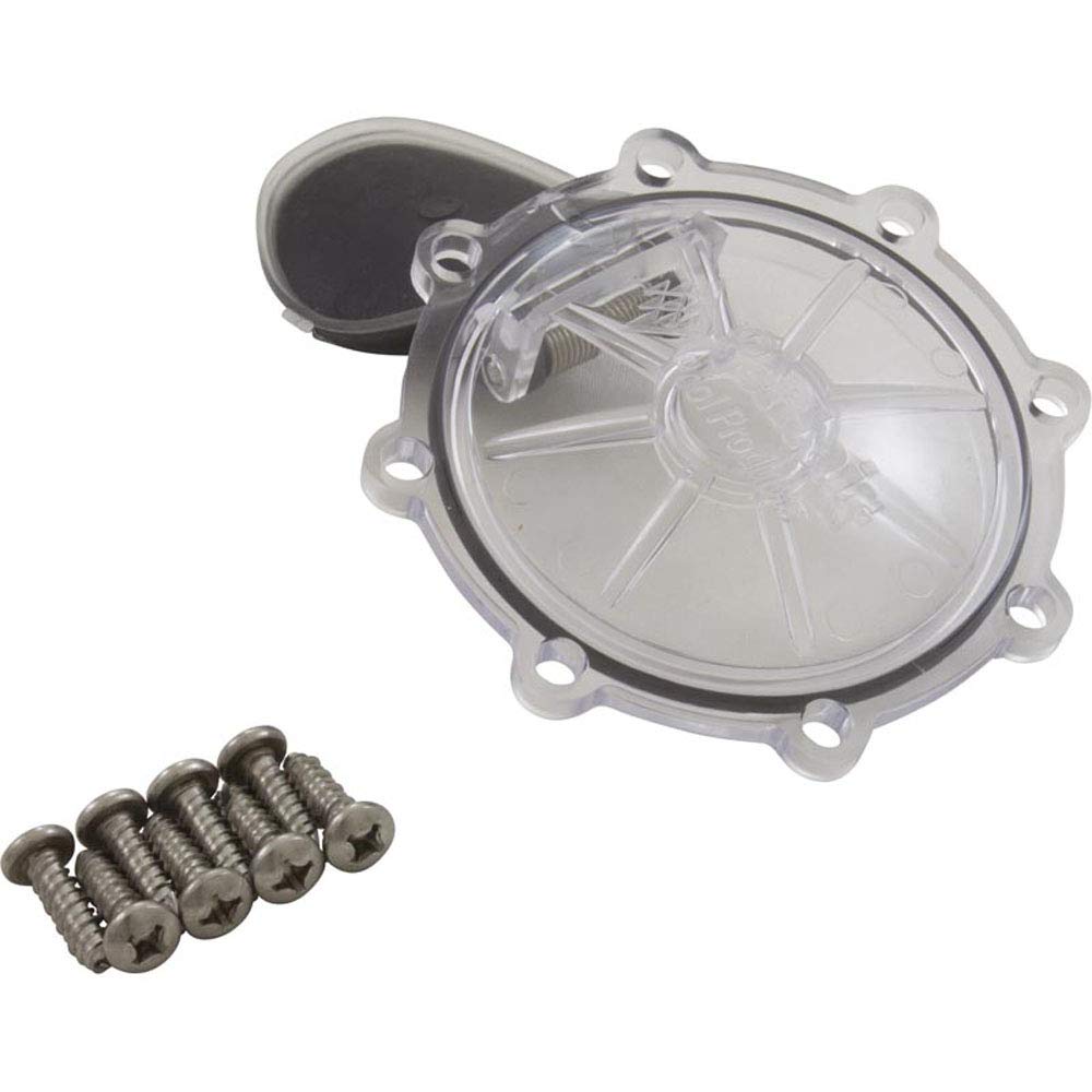 Pentair rebuild kit for CPVC 2-inch check valve, ideal for quick maintenance.