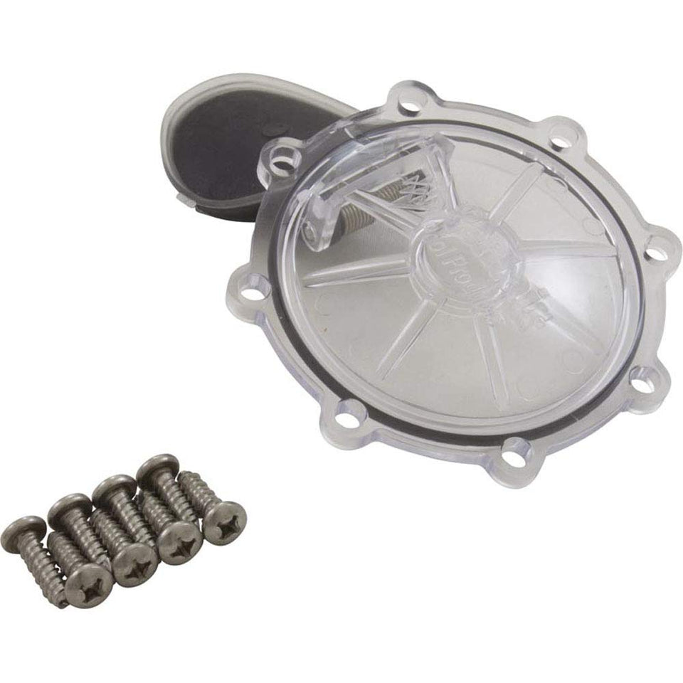 Pentair rebuild kit for CPVC 2-inch check valve, ideal for quick maintenance.