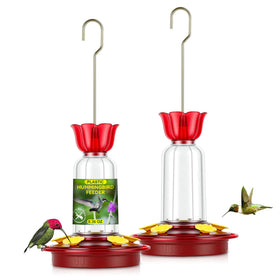 PENXUA hummingbird feeder outdoors hanging 2-pack for busy gardens.