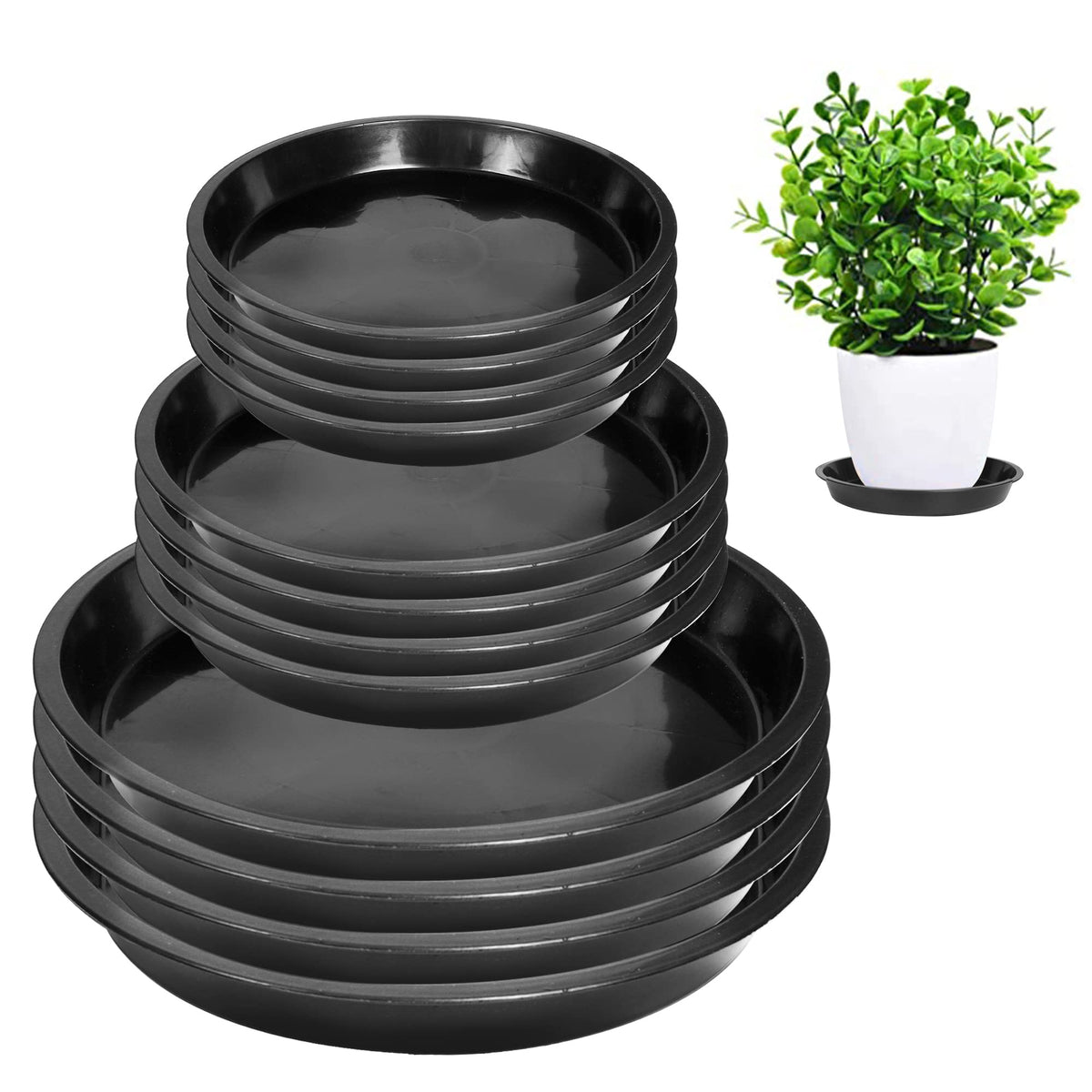 PeoMev 6-inch round plant saucer catching drainage and protecting floors