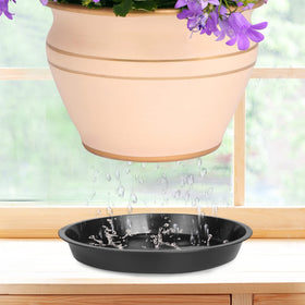 PeoMev packaging contents showing four sizes in the set