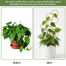 PEOVLVN gift for plant lovers elevates indoor greenery.