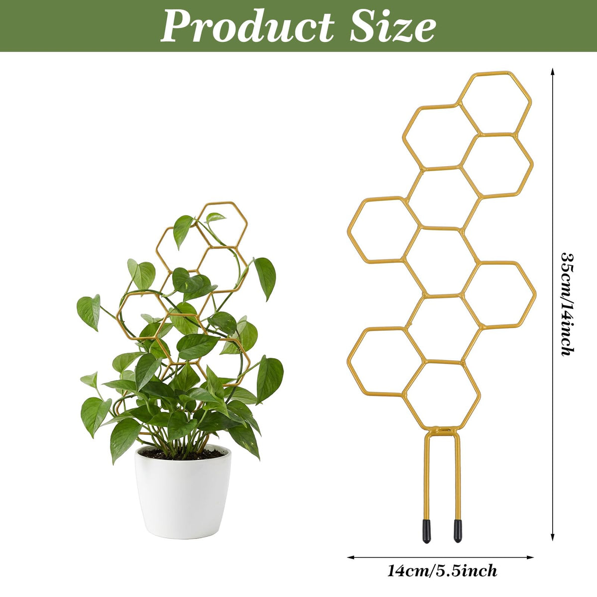 PEOVLVN indoor-outdoor trellis supports potted plants to maximize sunlight and reduce sag.